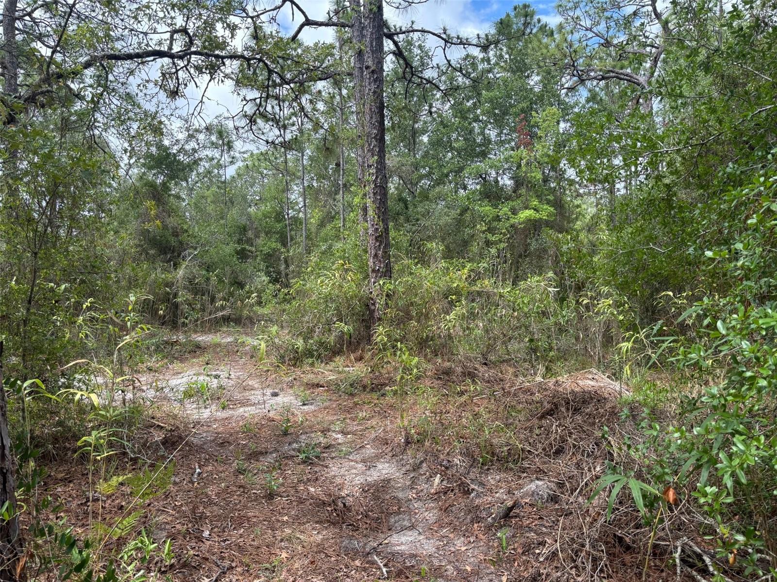 18379 Thomas Blvd Property Photo 2