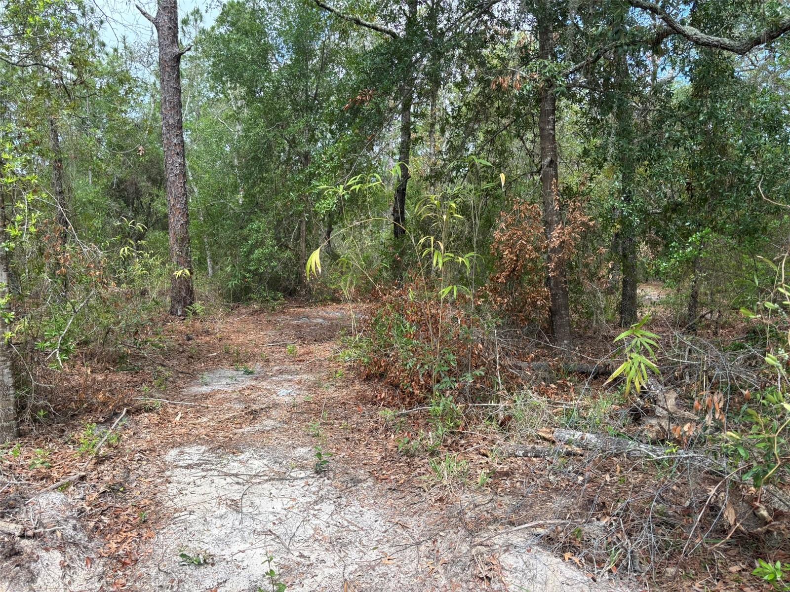 18379 Thomas Blvd Property Photo 3