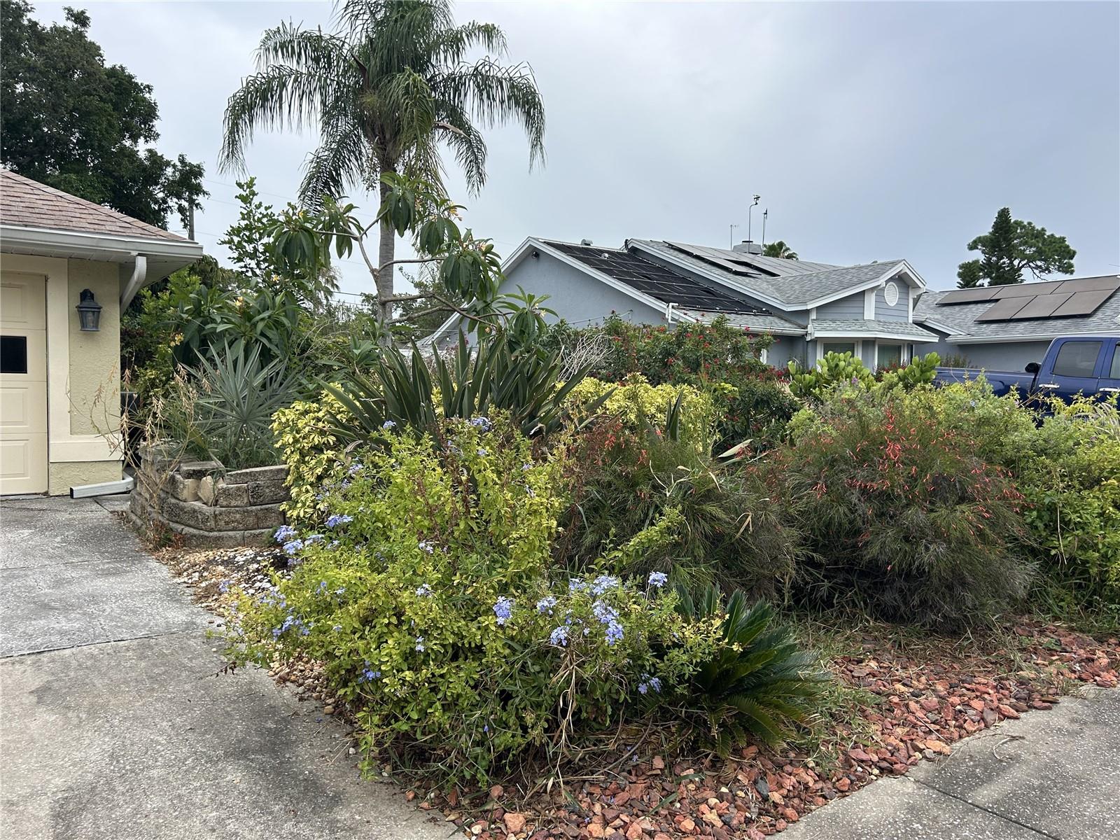 1612 Gulf Beach Blvd Property Photo 6