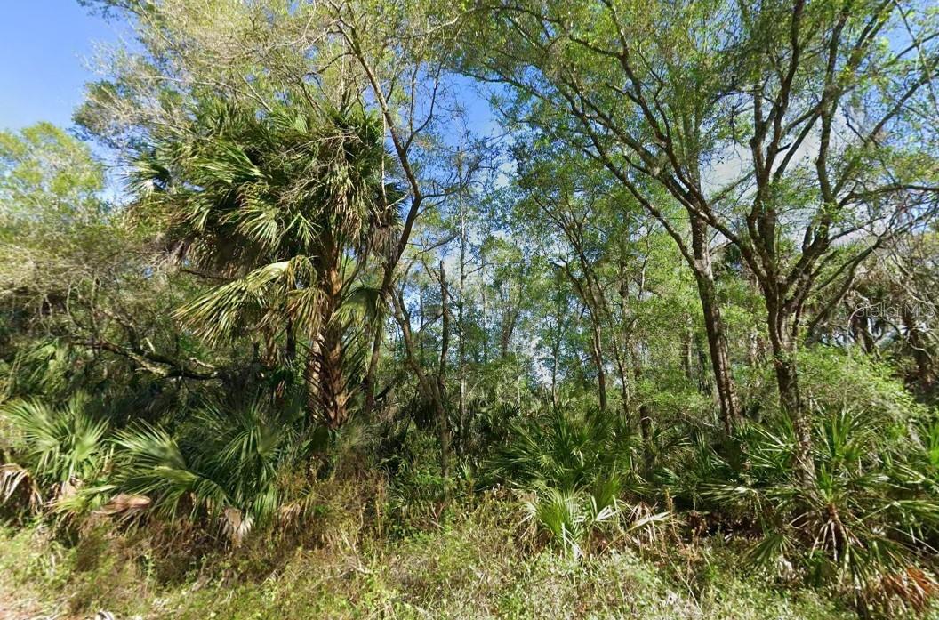 TB8528546 Property Photo 2