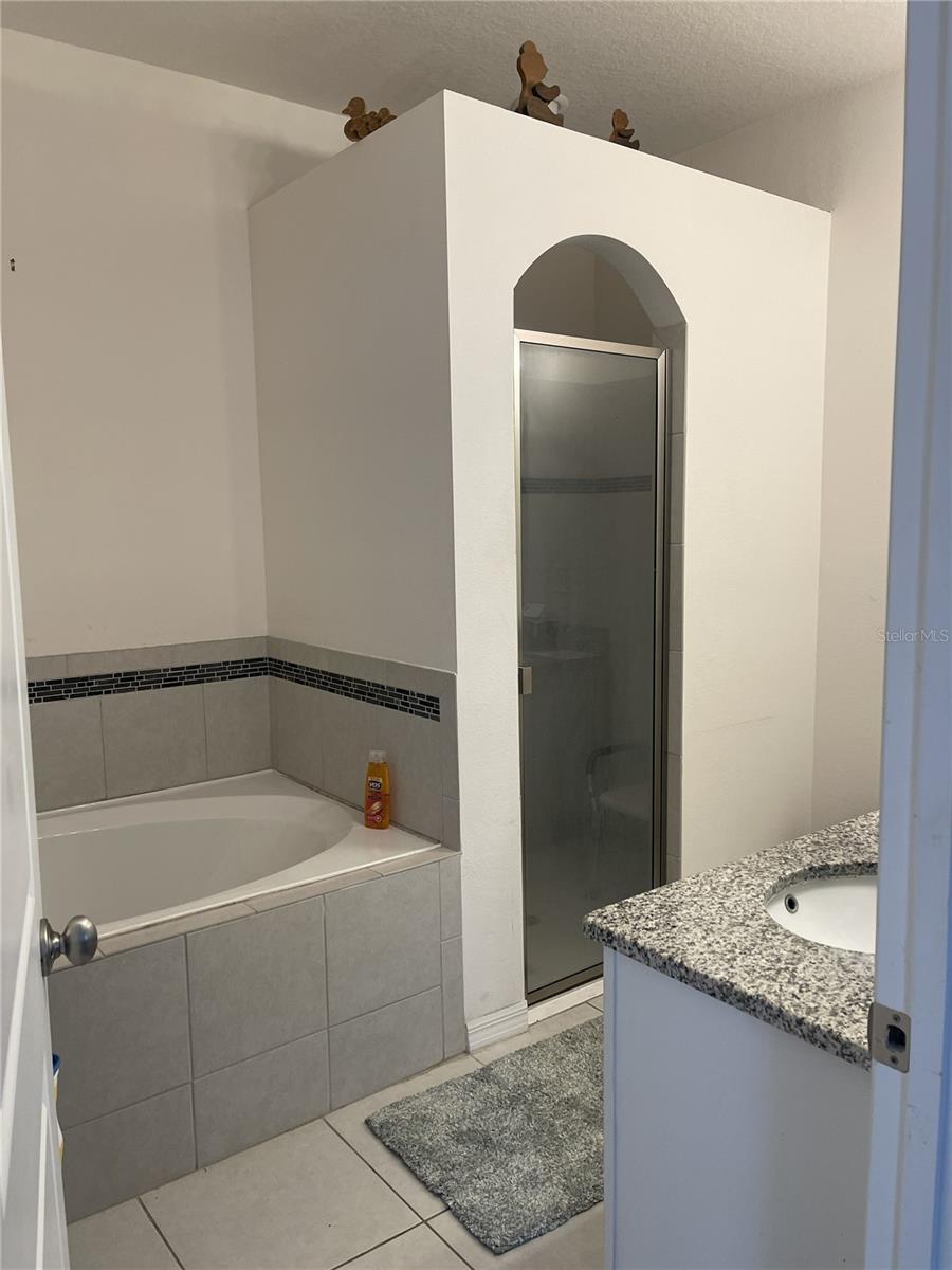 12433 Ballentrae Forest Dr Property Photo 9