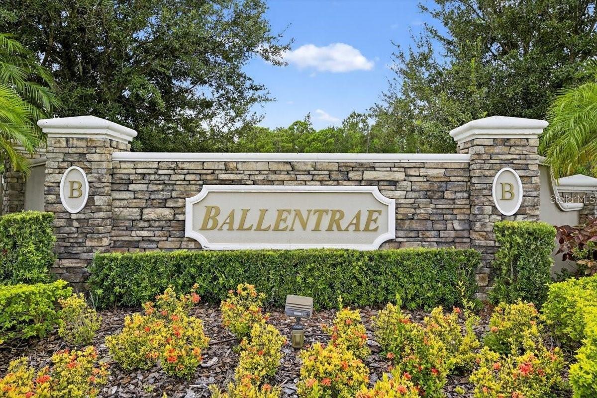 12433 Ballentrae Forest Dr Property Photo 14