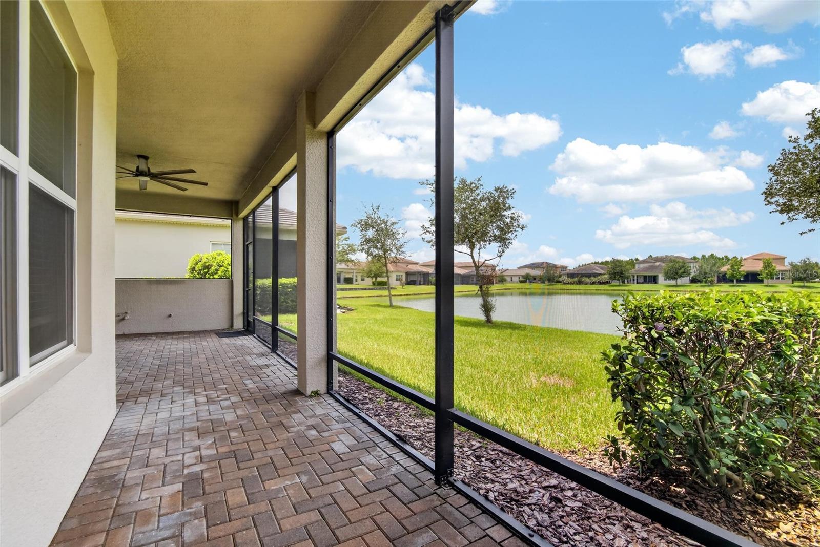 31142 Lindentree Dr Property Photo 30