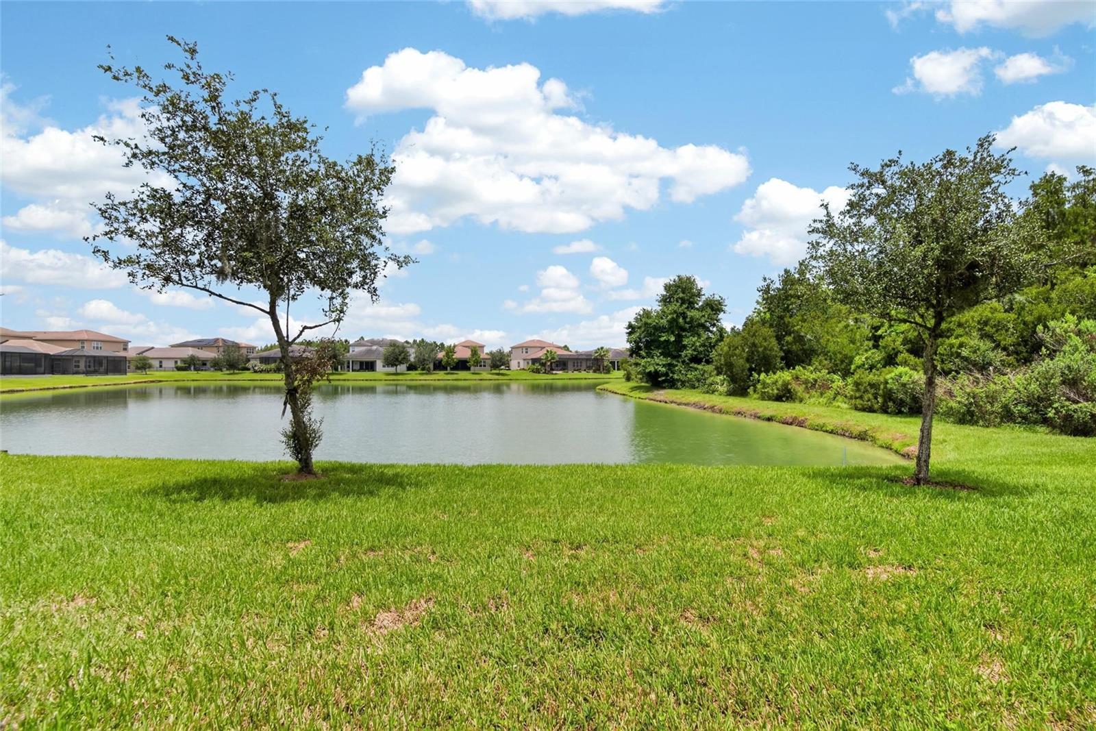 31142 Lindentree Dr Property Photo 31