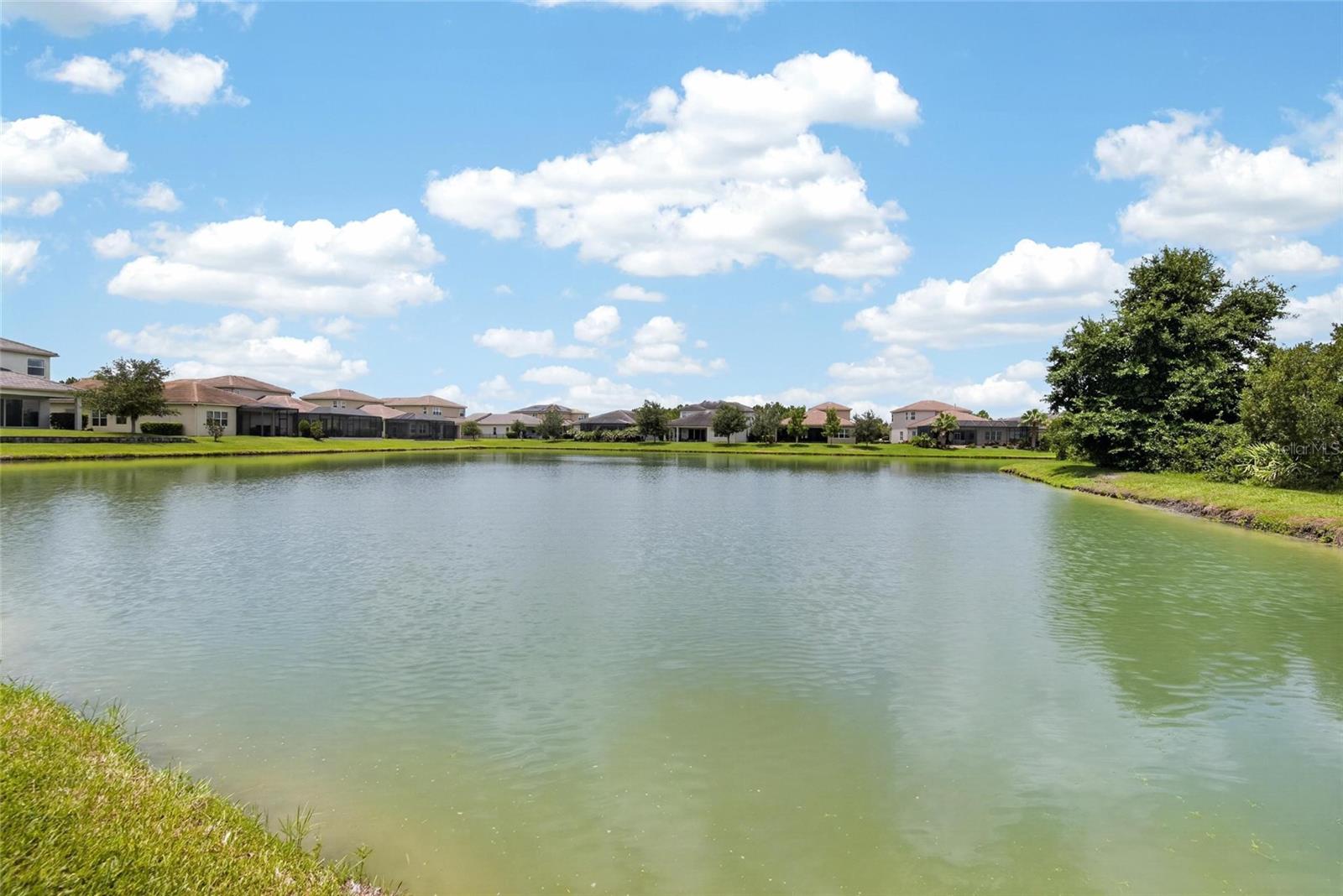 31142 Lindentree Dr Property Photo 32