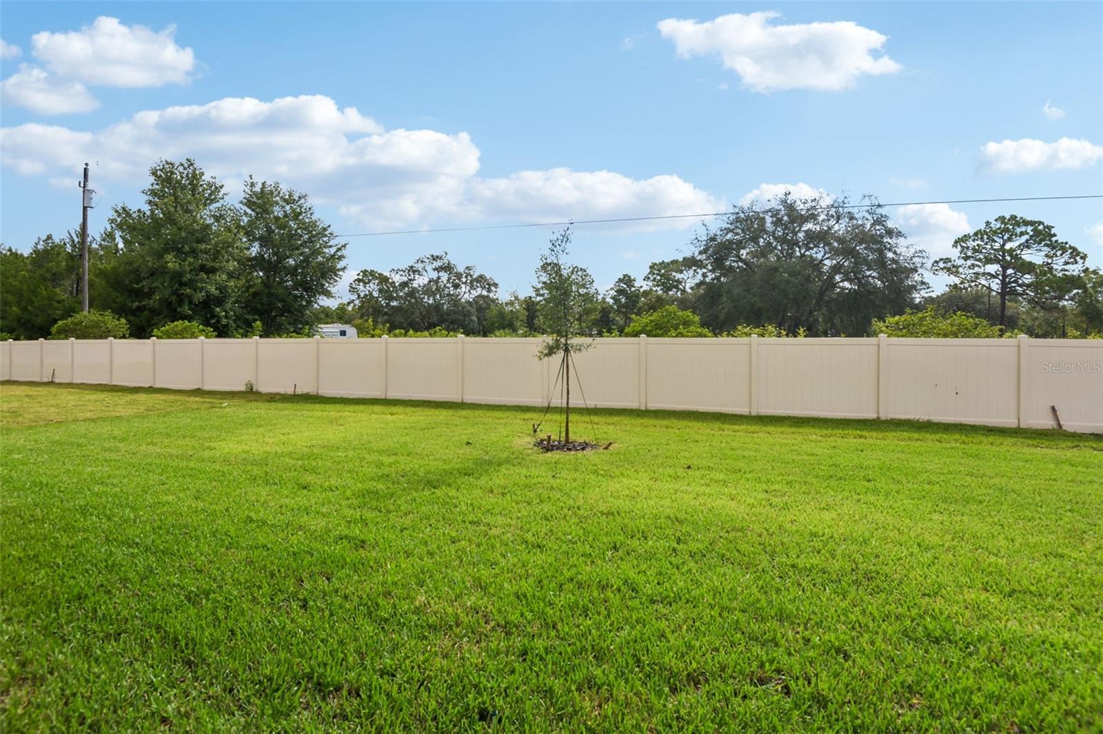 14152 Harvest Pines Ln Property Photo 37