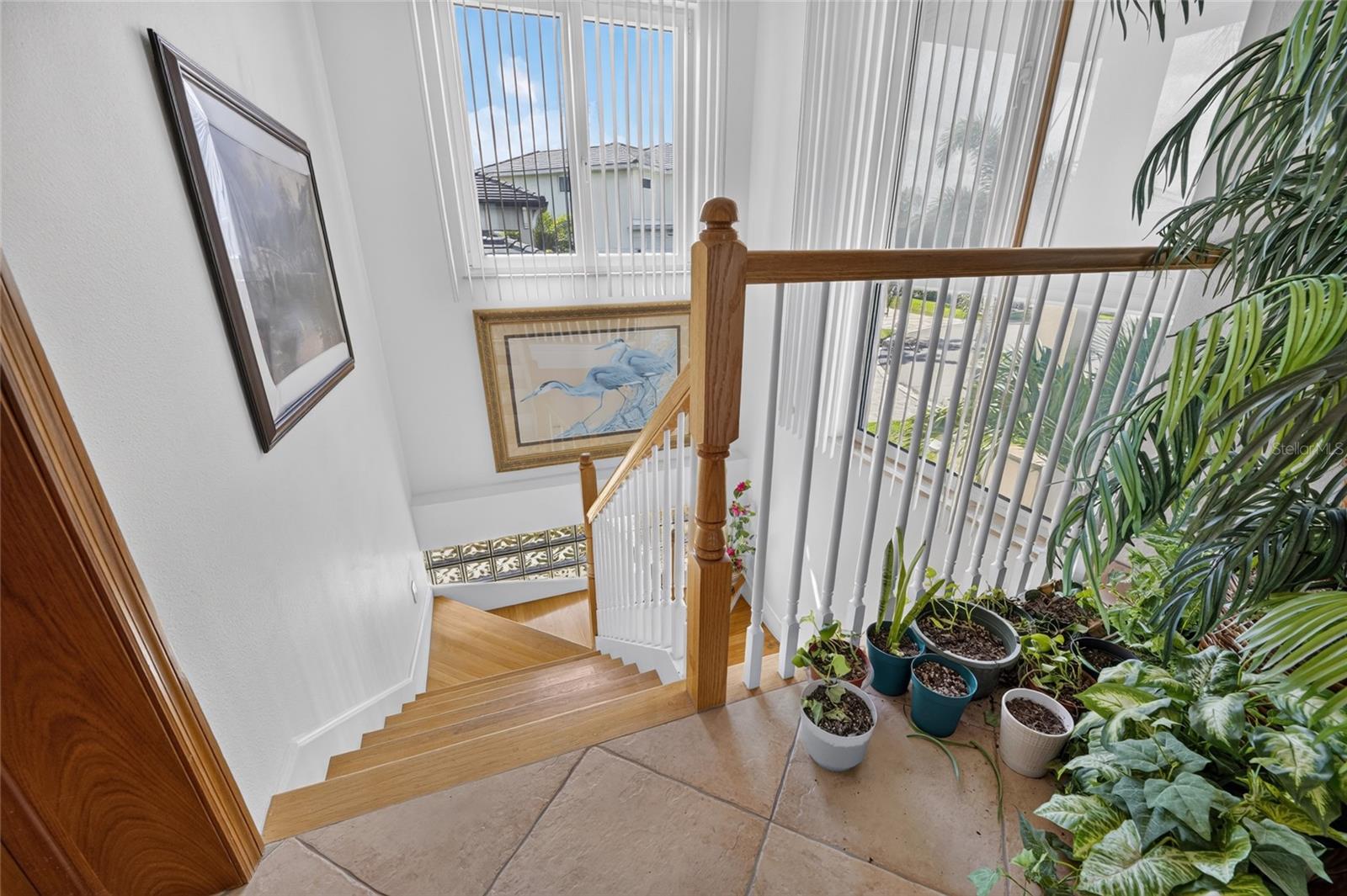 903 Capriccio Ln Property Photo 31