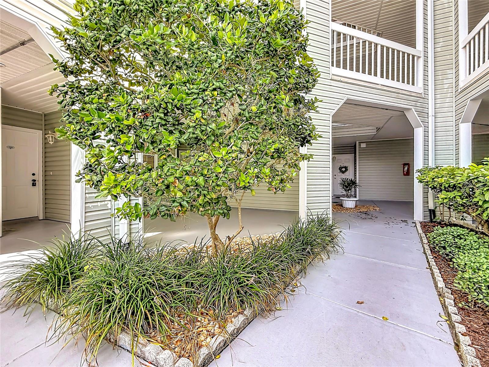 6826 Stones Throw Cir N #11101 Property Photo 4