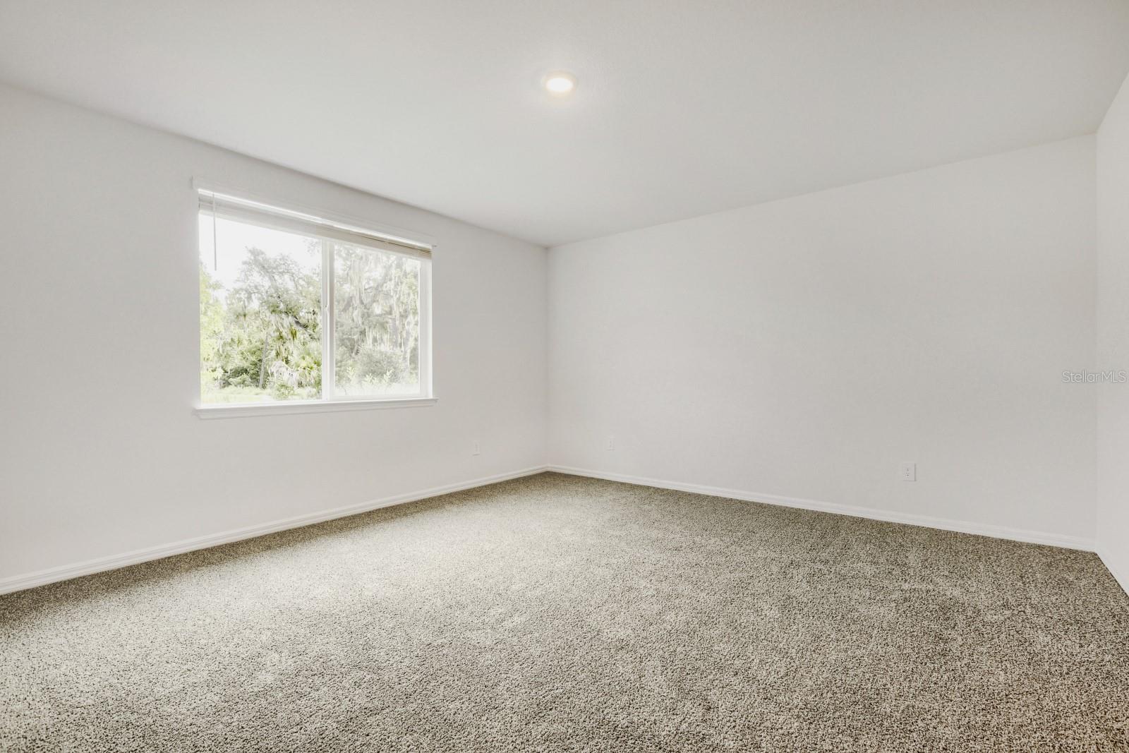 3819 Orange Forest Ln Property Photo 15