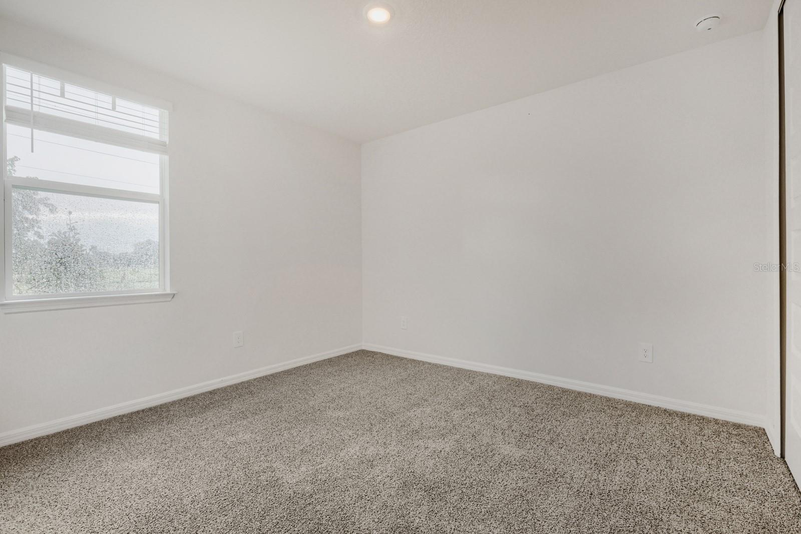 3819 Orange Forest Ln Property Photo 20