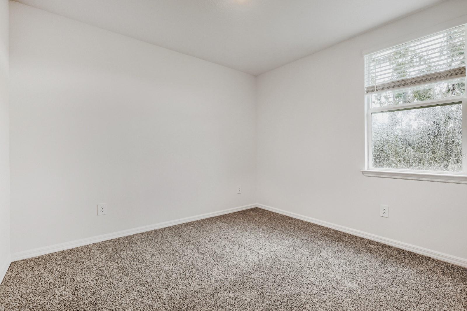3819 Orange Forest Ln Property Photo 21