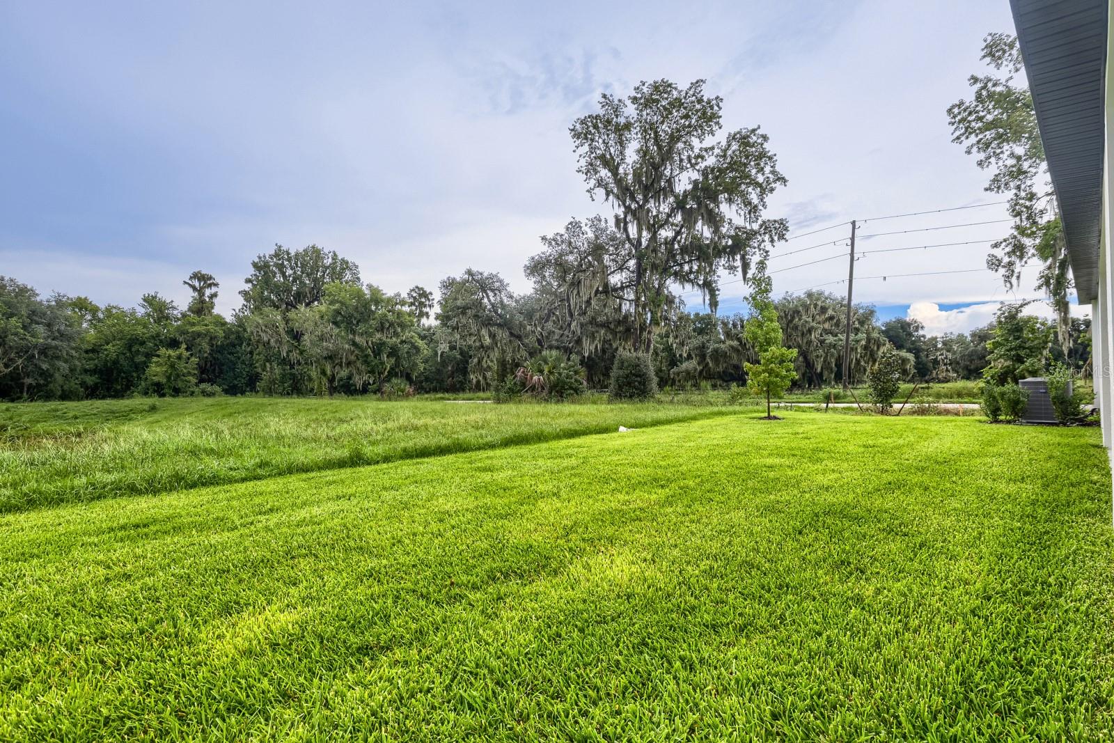 3819 Orange Forest Ln Property Photo 27