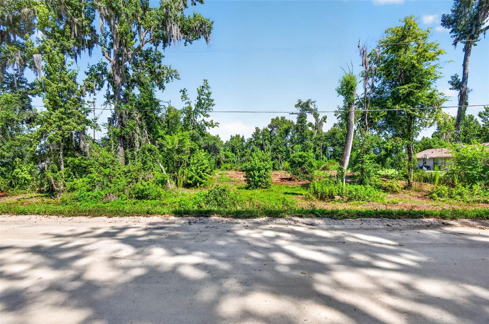 0 Sumner Lake Rd Property Photo 1