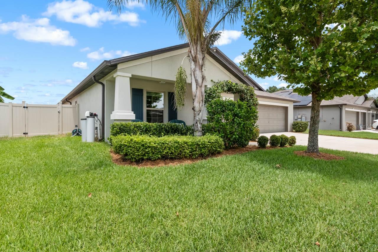 809 Timeless Moss Dr Property Photo 5