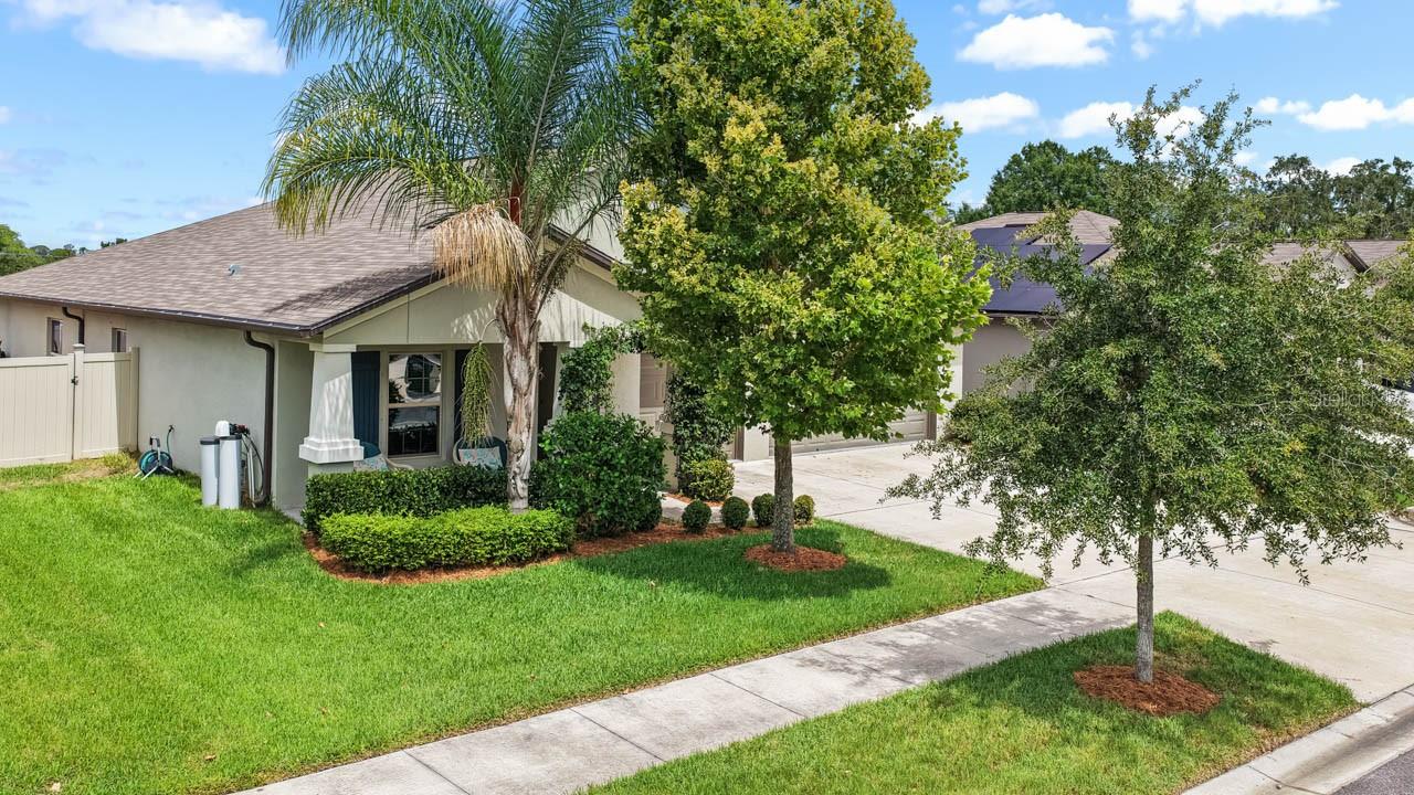 809 Timeless Moss Dr Property Photo 50