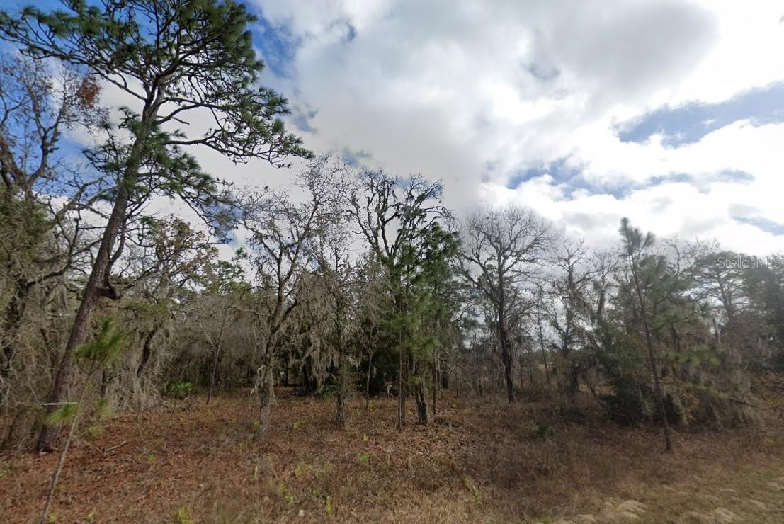 CRIDER RD Property Photo 1