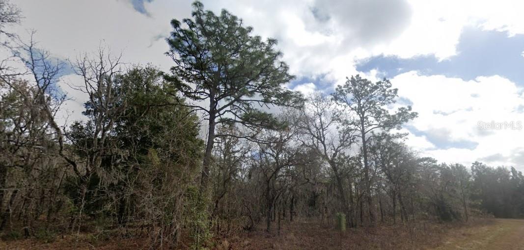 Crider Rd Property Photo 2