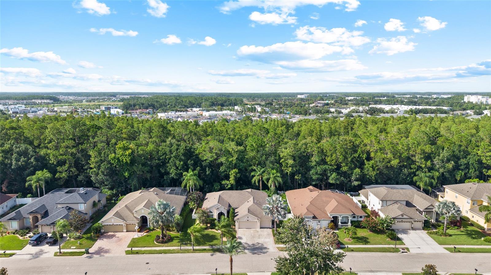 16132 Ivy Lake Dr Property Photo 38