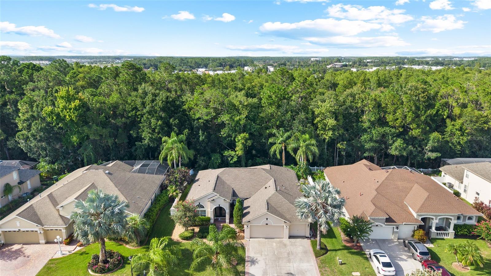 16132 Ivy Lake Dr Property Photo 49