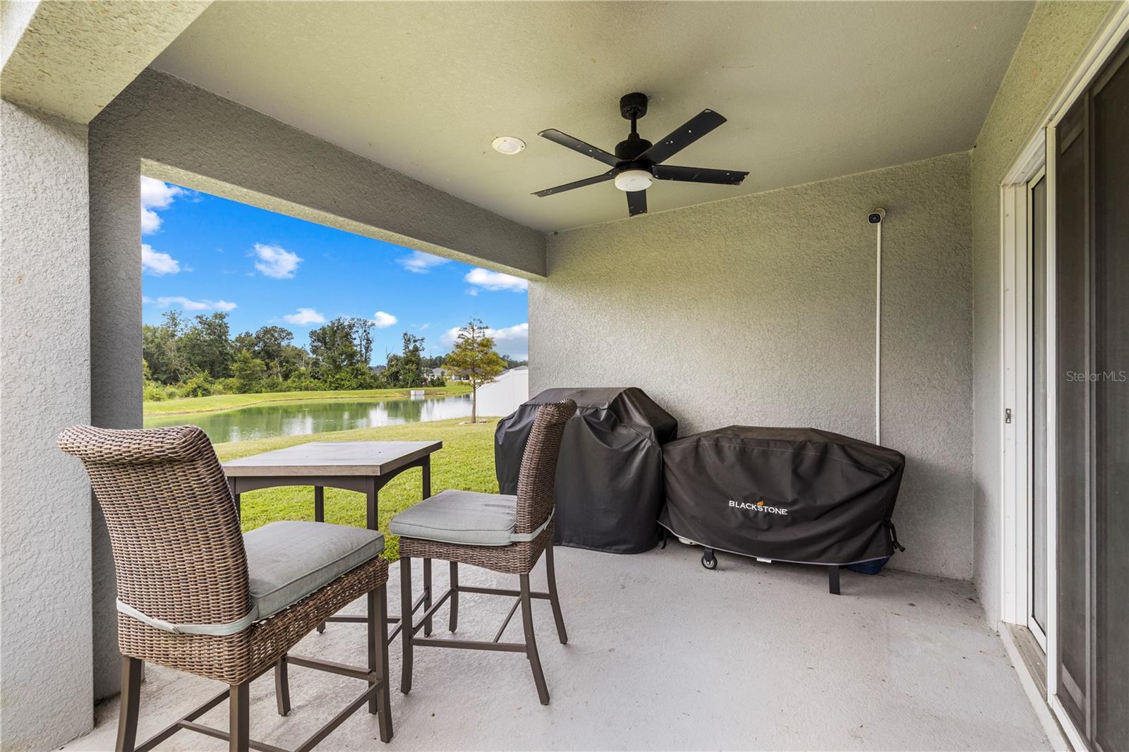 35542 Bellington Blvd Property Photo 37
