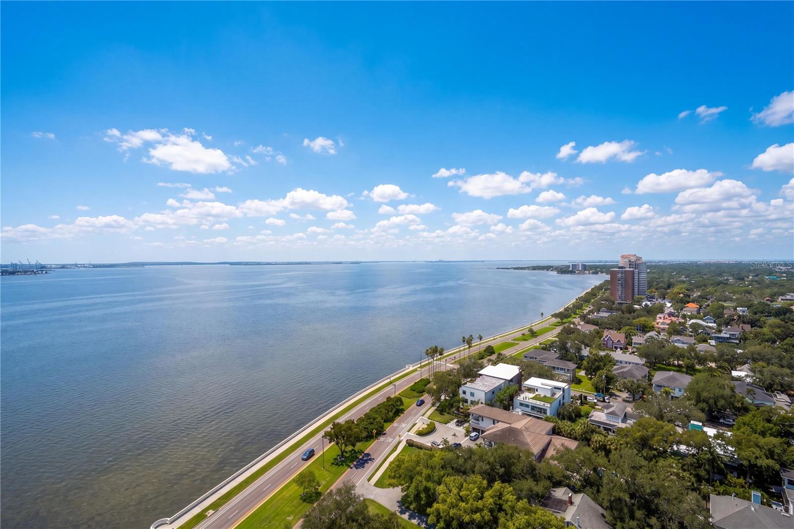 3507 Bayshore Blvd #2101 Property Photo 32