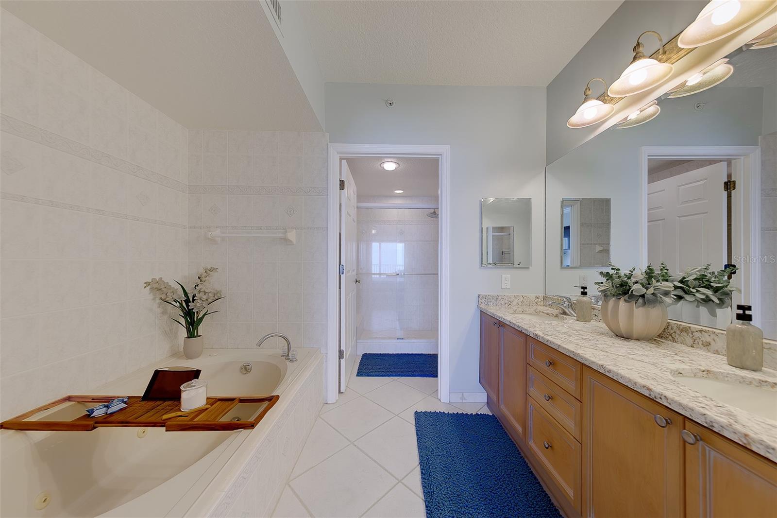 16550 Gulf Blvd #342 Property Photo 20