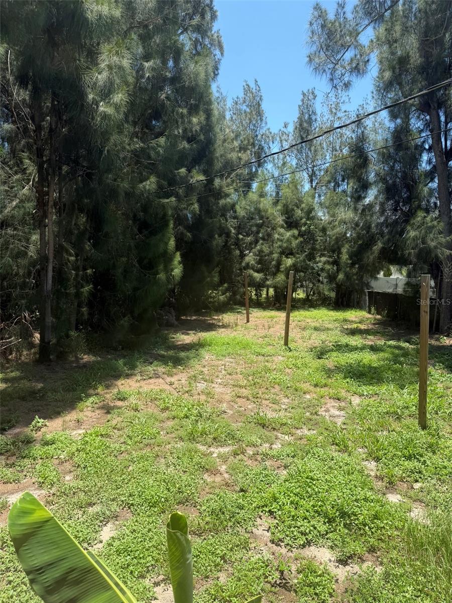 6458 79th Ave N Property Photo 8
