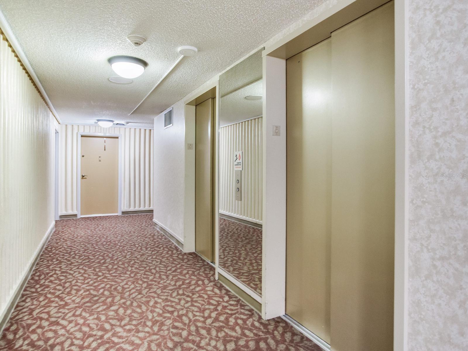 4141 Bayshore Blvd #505 Property Photo 3