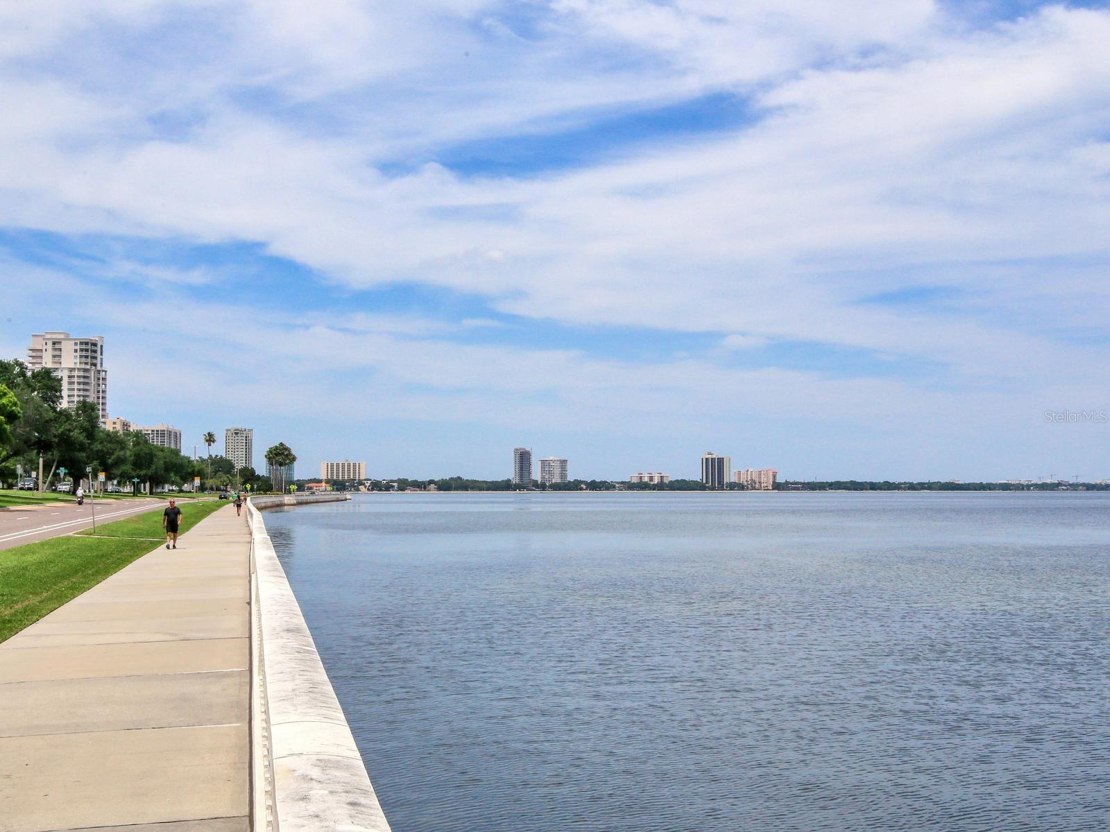 4141 Bayshore Blvd #505 Property Photo 46