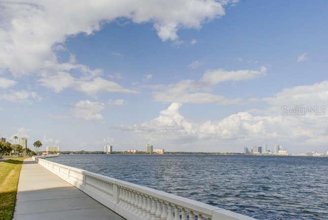 4141 Bayshore Blvd #505 Property Photo 47