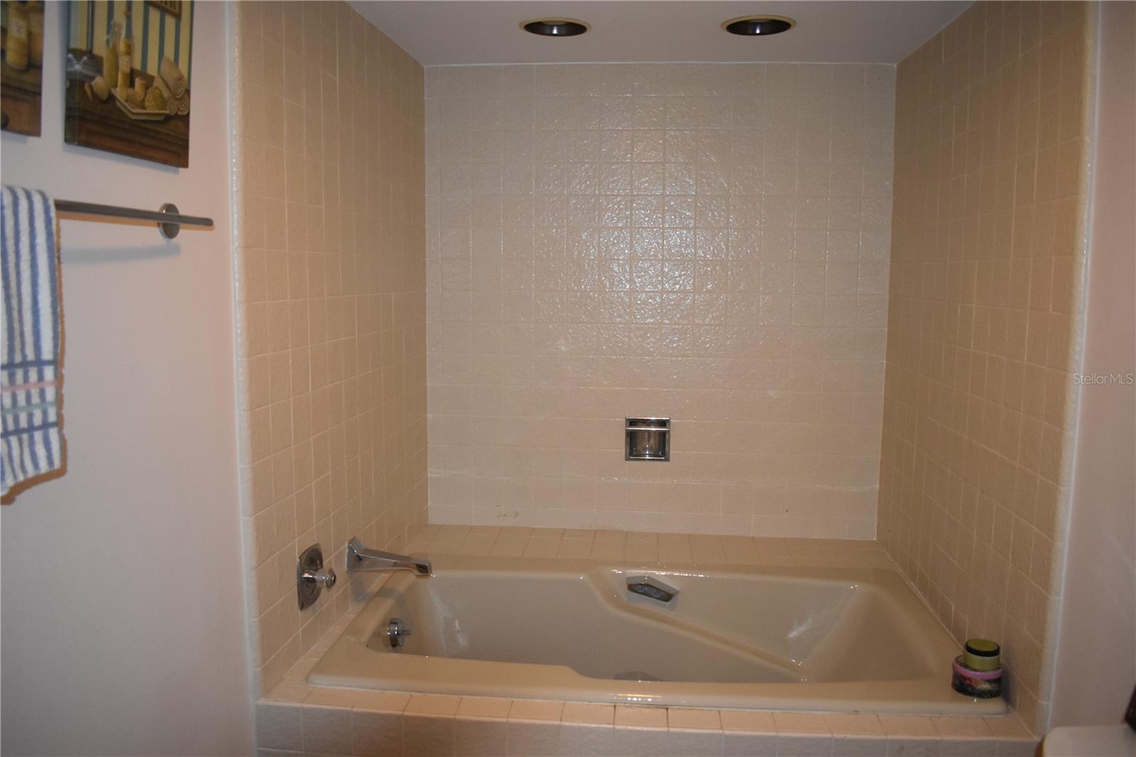 3053 Eagles Landing Cir W #3053 Property Photo 15