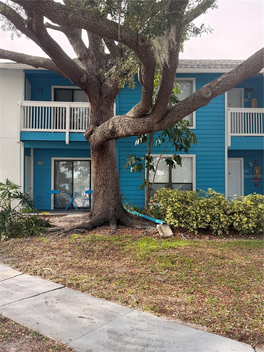 455 ALT 19 S #141 Property Photo 1