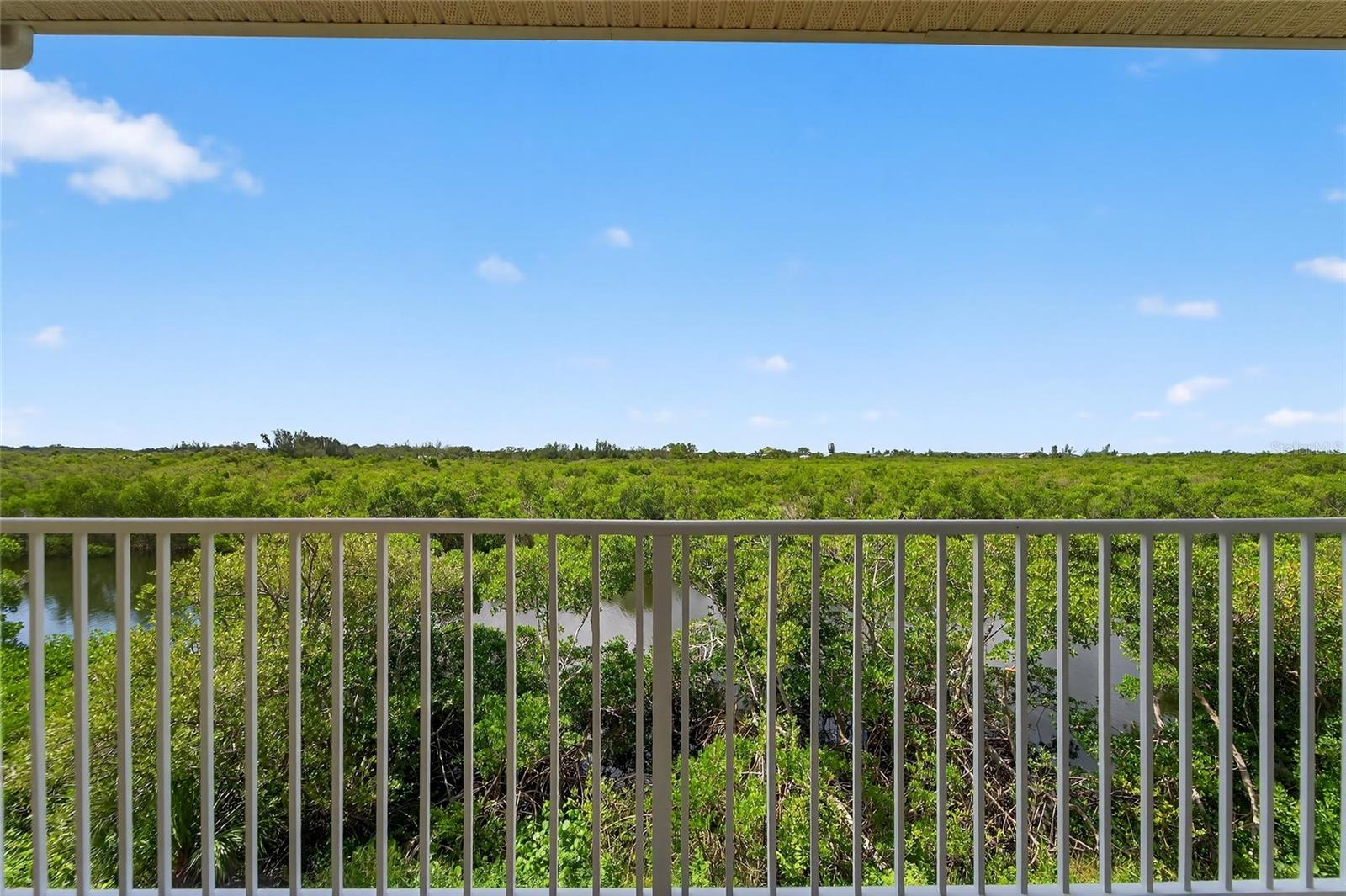 3266 Mangrove Point Dr Property Photo 4