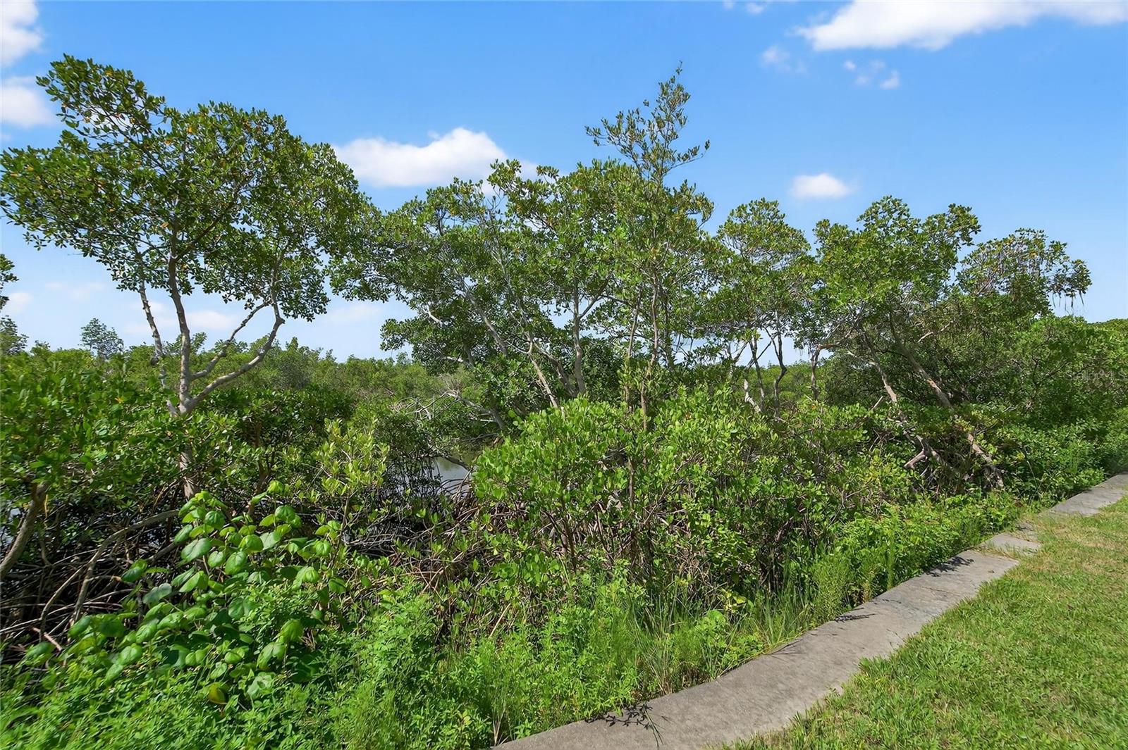 3266 Mangrove Point Dr Property Photo 54