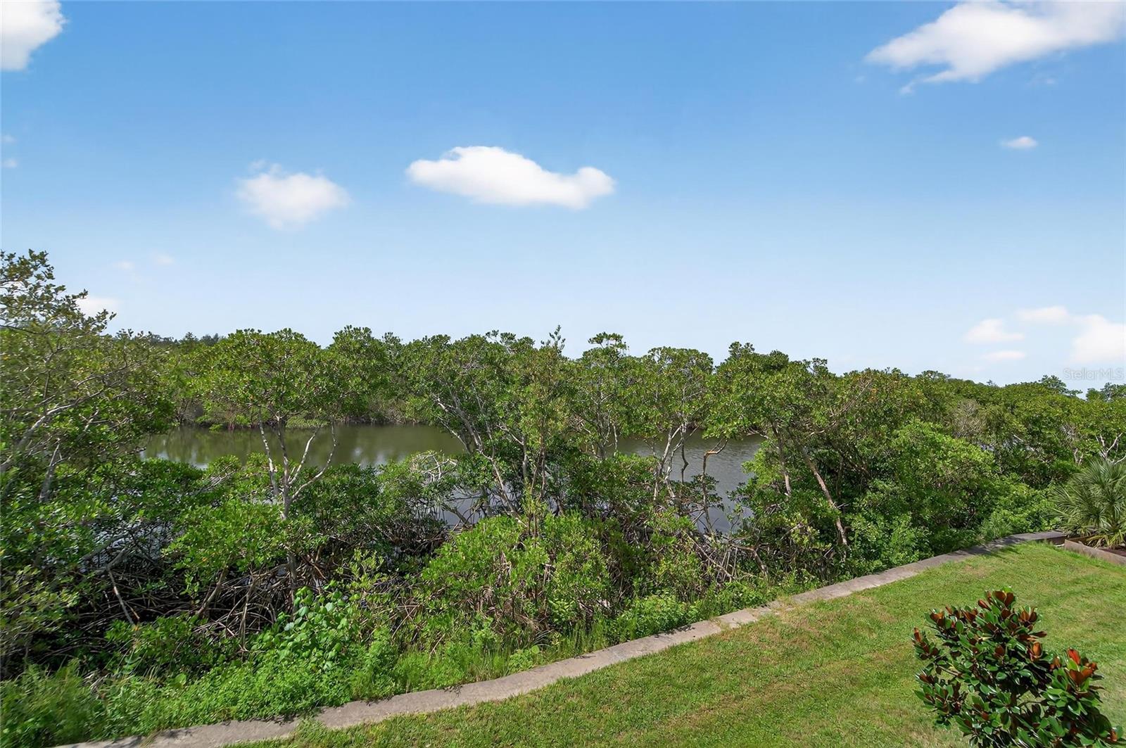 3266 Mangrove Point Dr Property Photo 60