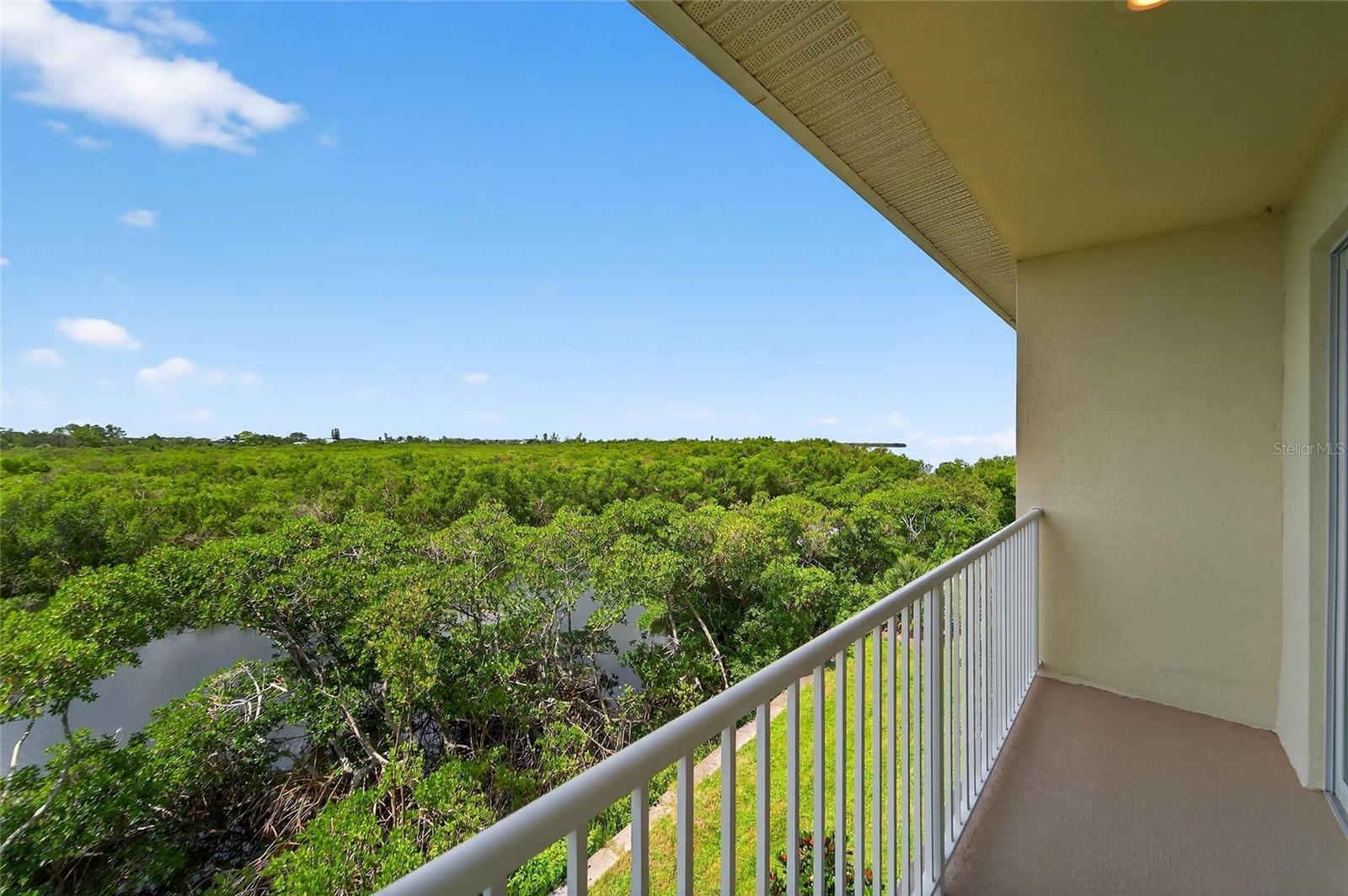 3266 Mangrove Point Dr Property Photo 61