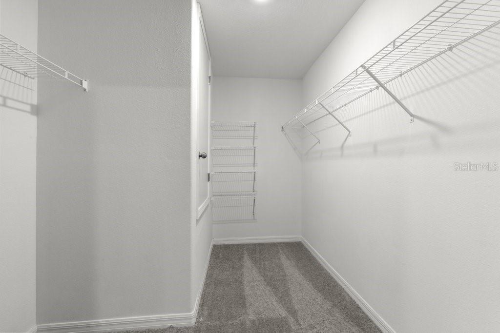 7110 Amelia Cove Ct Property Photo 11