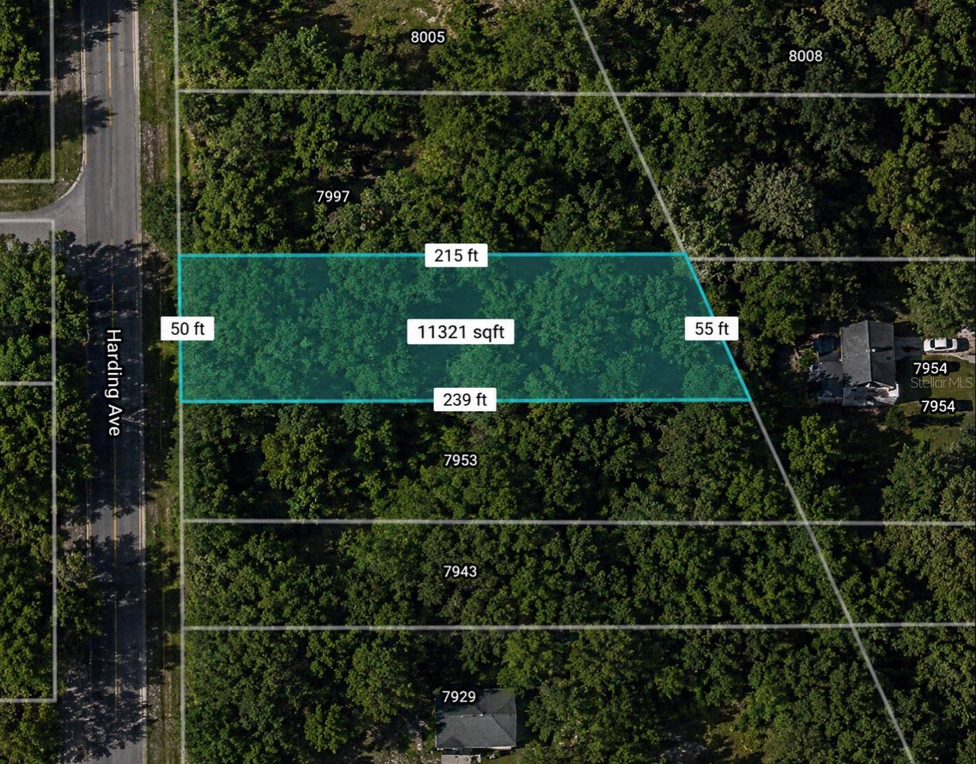 Harding Ave Property Photo 2