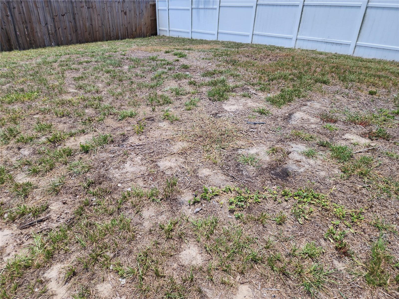 TB8529212 Property Photo 3
