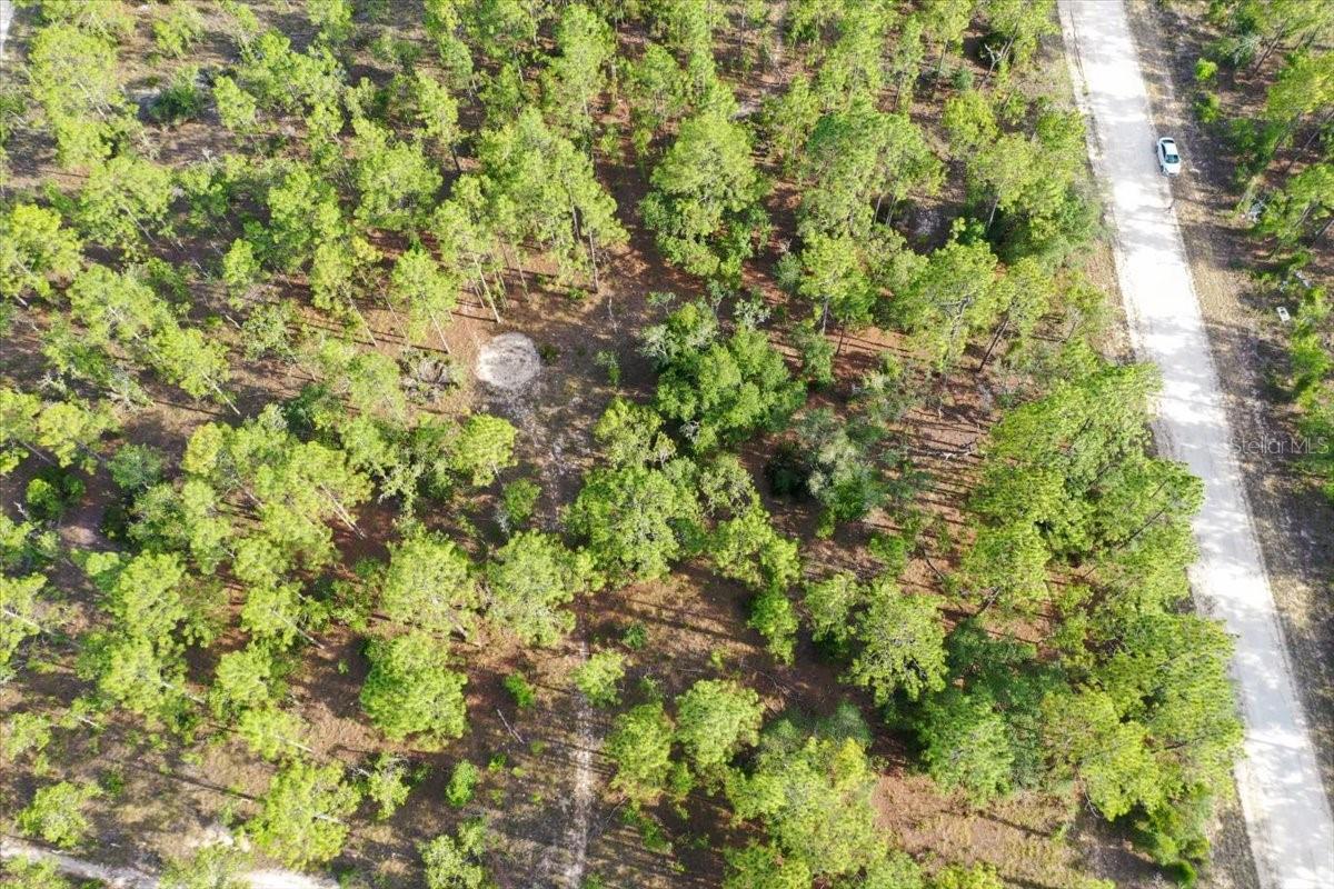 0000 Ne 131 Lot 9 Ter Property Photo 2