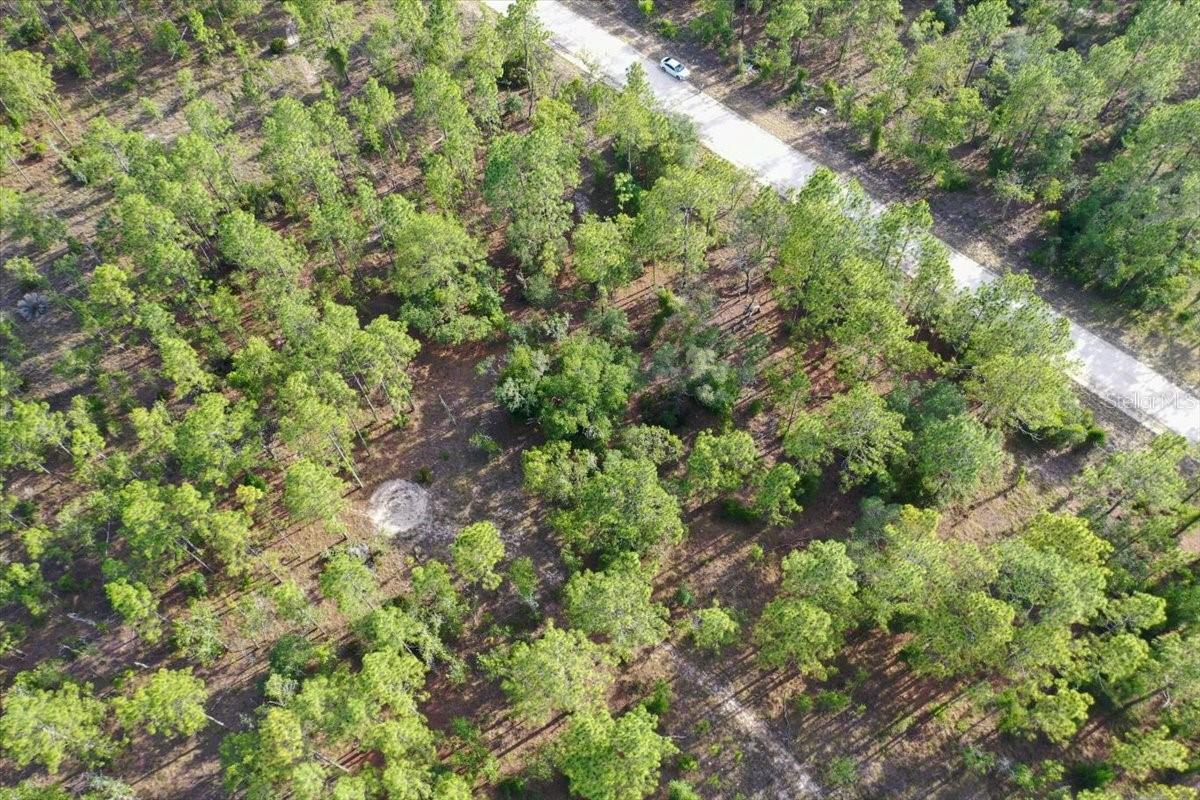 0000 Ne 131 Lot 9 Ter Property Photo 3