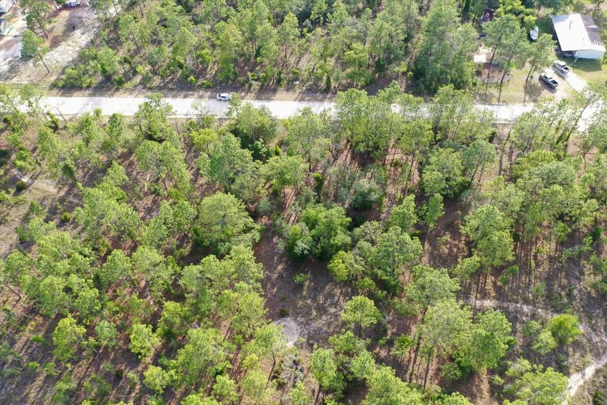 0000 Ne 131 Lot 9 Ter Property Photo 4