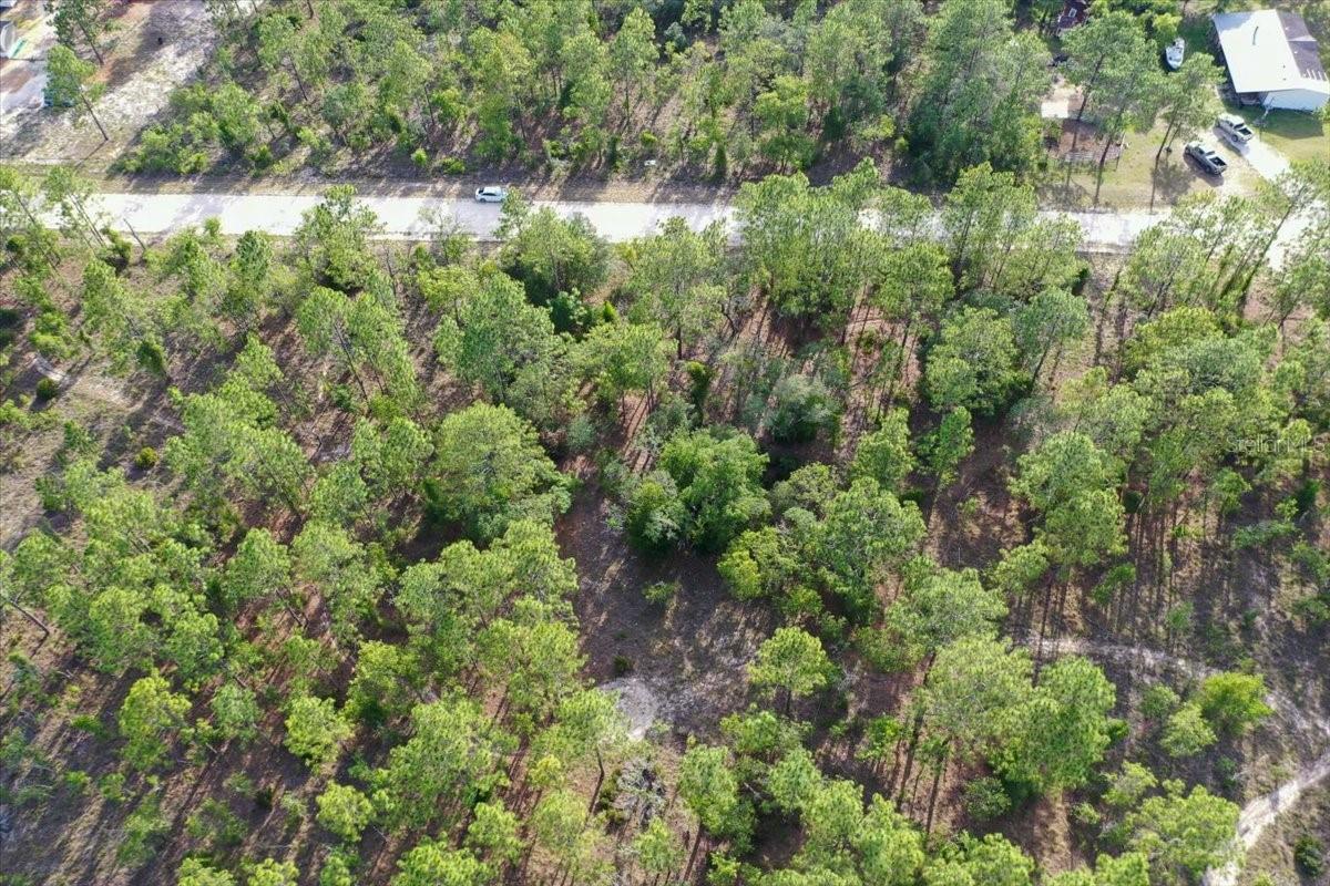 0000 Ne 131 Lot 9 Ter Property Photo 5