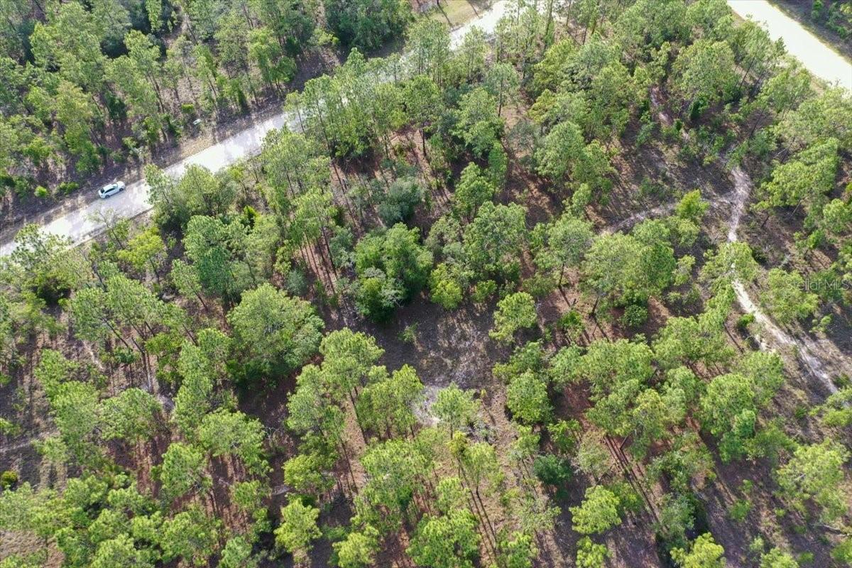 0000 Ne 131 Lot 9 Ter Property Photo 6