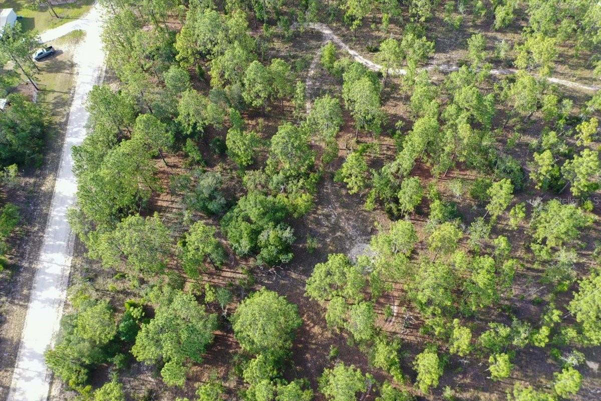 0000 Ne 131 Lot 9 Ter Property Photo 7