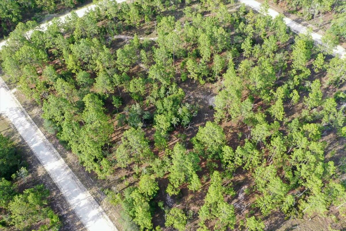 0000 Ne 131 Lot 9 Ter Property Photo 8