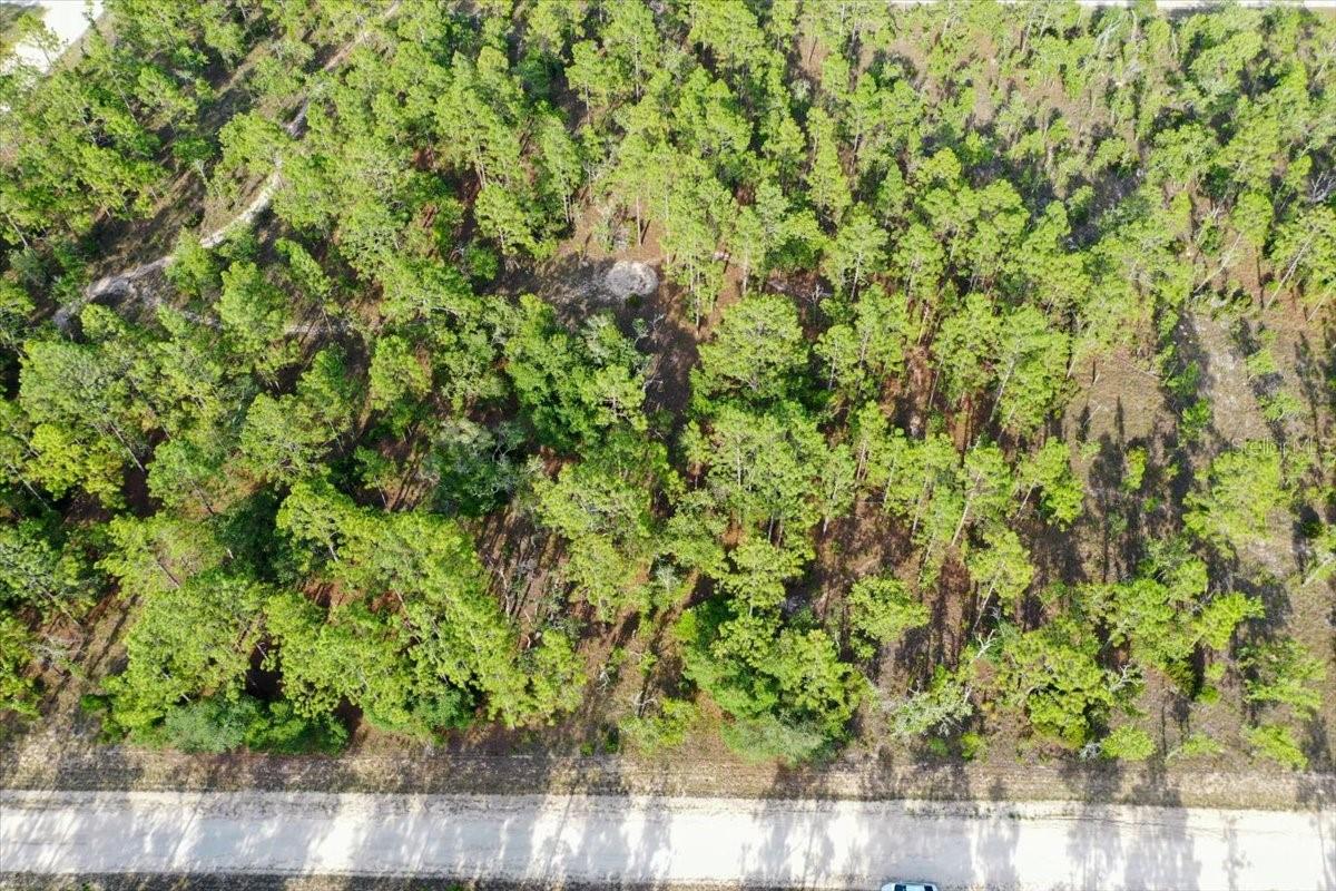 0000 Ne 131 Lot 9 Ter Property Photo 9