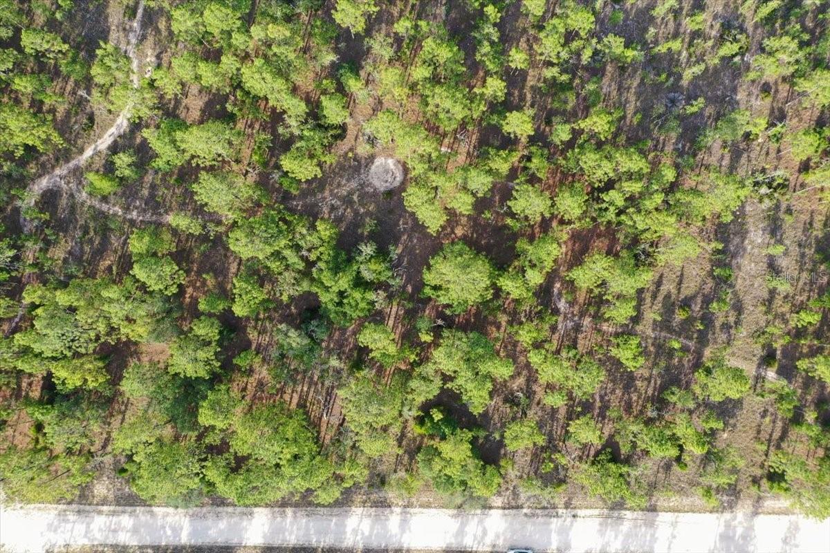 0000 Ne 131 Lot 9 Ter Property Photo 10