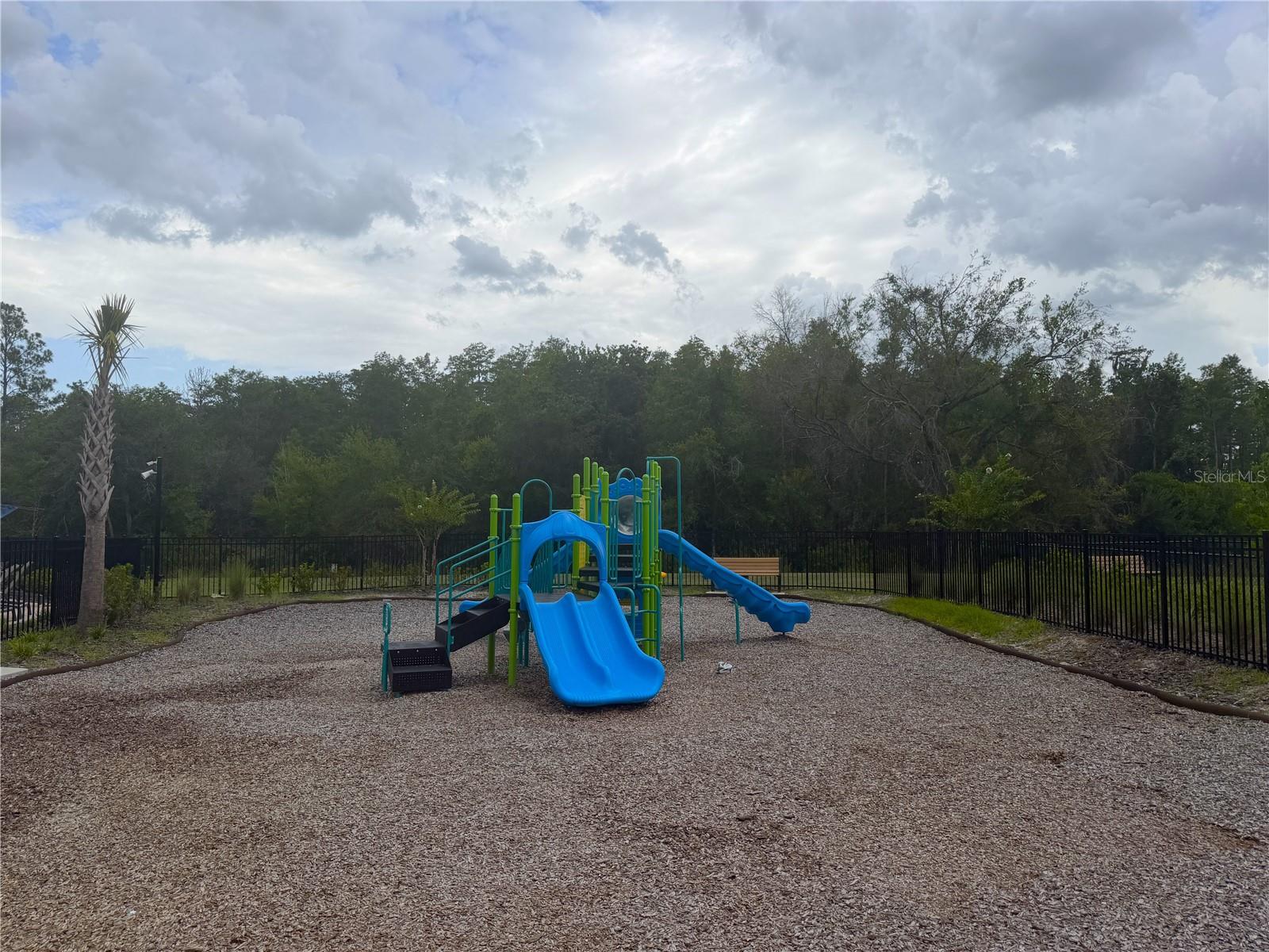 3187 Skyline Loop Property Photo 17