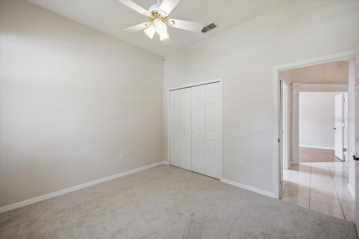 794 Wolf Creek St Property Photo 21